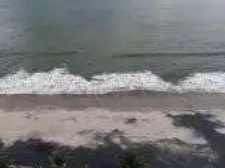 Nueva Gorgona Beach View 4 Nueva Gorgona Beach View 4