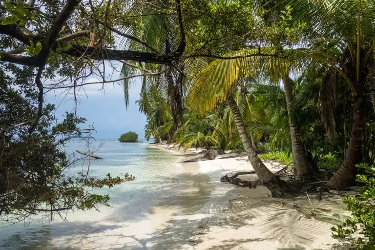 Move to Panama FAQ